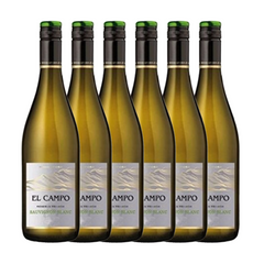 El Campo Sauvignon Blanc 2019 6x75cl